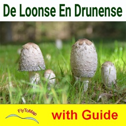 Loonse en Drunense Duinen - NP