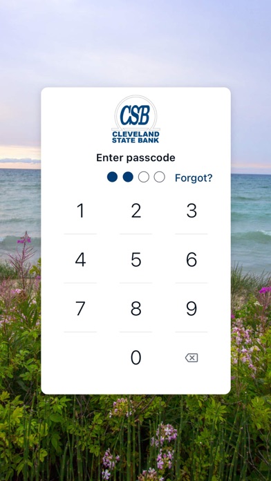 Cleveland State Bank Screenshot