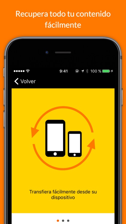 Seguro Orange screenshot-3