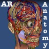 AR Anatomy ++ icon