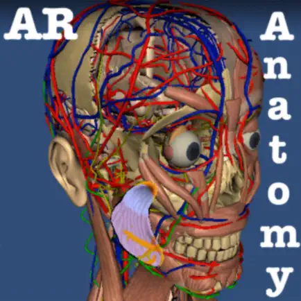 AR Anatomy ++ Cheats