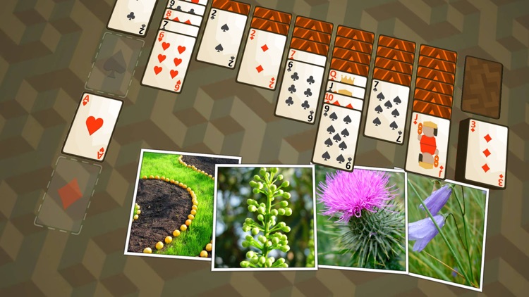 Solitaire Plants screenshot-4