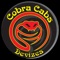 Whether you are an individual, small business or large corporation, Cobra Cabs & Private Hire can supply the very best in efficient, reliable and fully vetted managed taxi services to anywhere in the United Kingdom