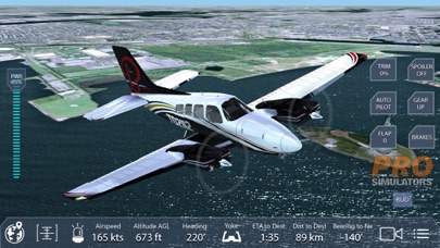 Screenshot #3 pour Pro Flight Simulator NY 4K