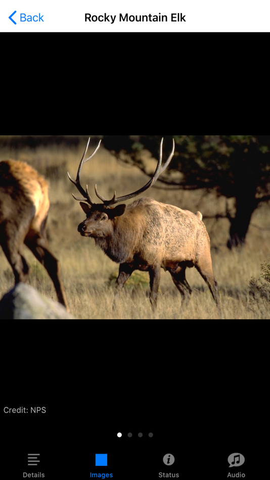 #4. Rocky Mountain NP Field Guide (iOS) By: ParksConnect