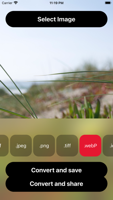 Photo to PDF