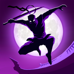 Shadow Knight Ninja Fighting
