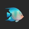 Aquarium Adventures icon