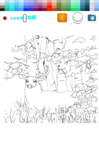 Coloring book Lord Deer  for kid and preschool screenshot 2