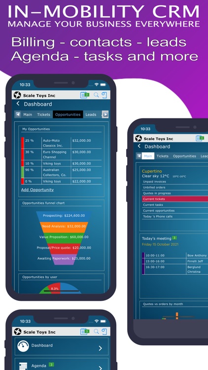 In-Mobility CRM & Invoice