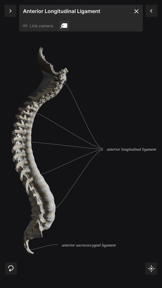 #3. Biomechanics of the Spine Lite (iOS) Podle: Anatomy Standard