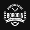 Borodin icon