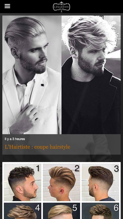 L'Hairtiste screenshot-3