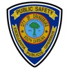 Orangeburg DPS icon