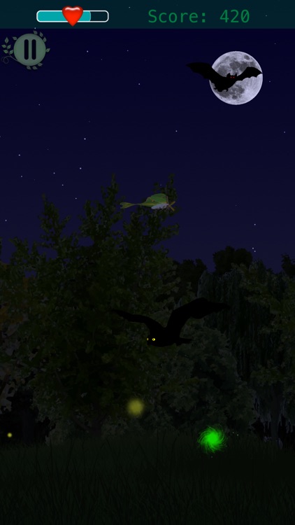 Forest Flutter screenshot-0