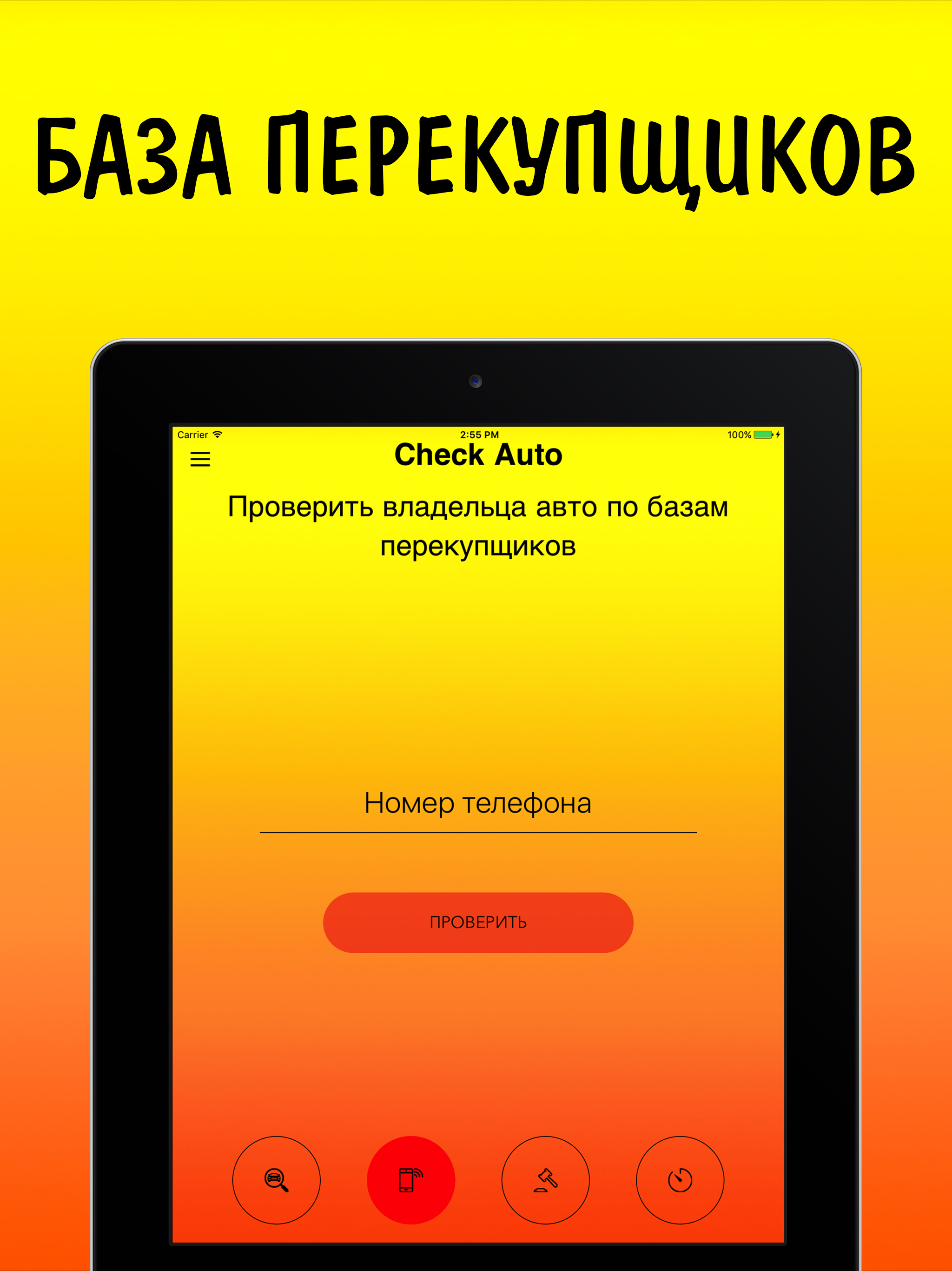 VIN code auto check ГИБДД ФССП ФНП РСА