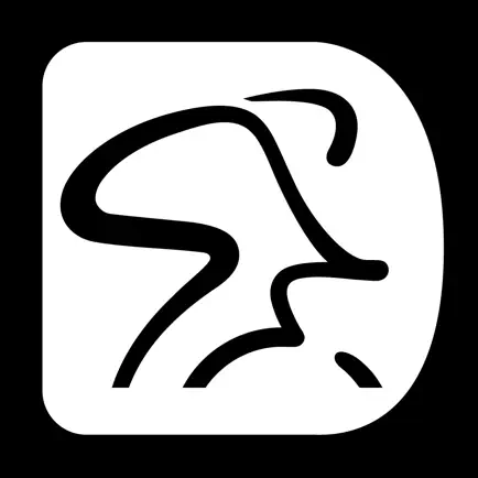 Spinning® Digital Читы