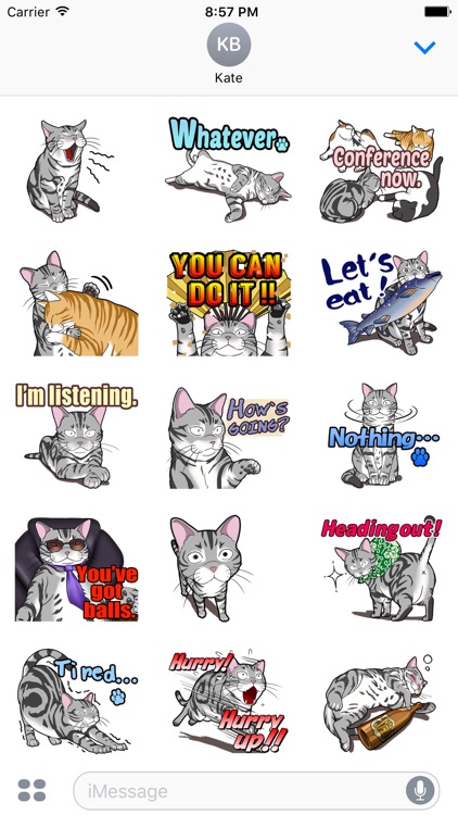 Kitty the Cat. Stickers by Design73