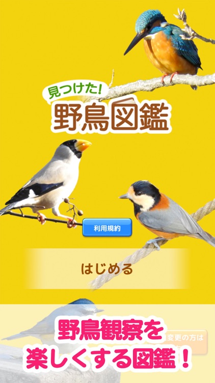 見つけた！野鳥図鑑