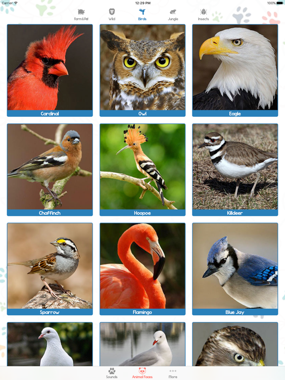 Animal Sounds and Pictures for Baby iPad screenshot