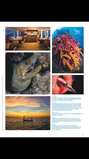 Blue Magazine(圖4)-速報App