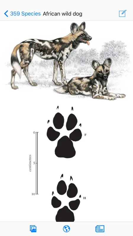 Mammals of the Southern African Subregion screenshot 4 of 5
