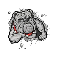 Emerado Public School ND