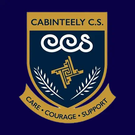 Cabinteely Community School Cheats