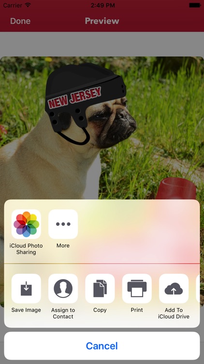 New Jersey Hockey Stickers & Emojis screenshot-4