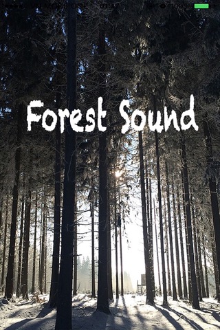 Forest Sounds - Forest Music,Sound Therapyのおすすめ画像2