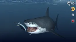 talking great white : my pet shark iphone screenshot 2