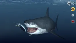 Game screenshot Talking Great White : My Pet Shark apk