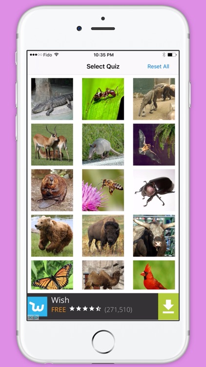 Animals Quiz - Pro