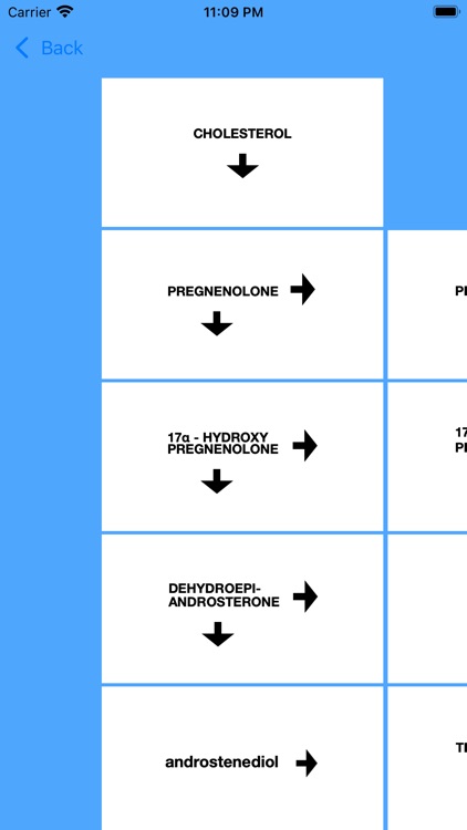 Androgen Hormones Tutor screenshot-3