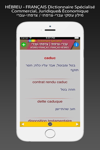 HÉBREU - FRANÇAIS Dictionnaire Spécialisé screenshot 3