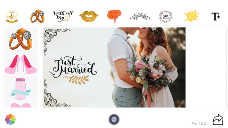 Wedding Splash Pro screenshot-3