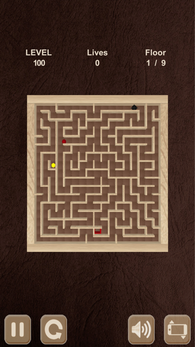 Roll the ball. Labyrinth box (ad-free) screenshot 5