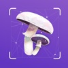 Mushroom id- Mushroom identify icon