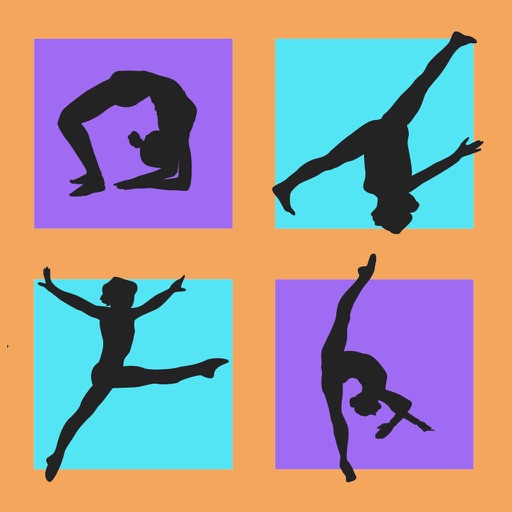 Gymnastics Training 2017 icon