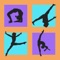 Discover the World of Gymnastics with the aid of this collection of More Than 500 Video Training Guides