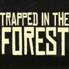 Trapped in the Forest! icon