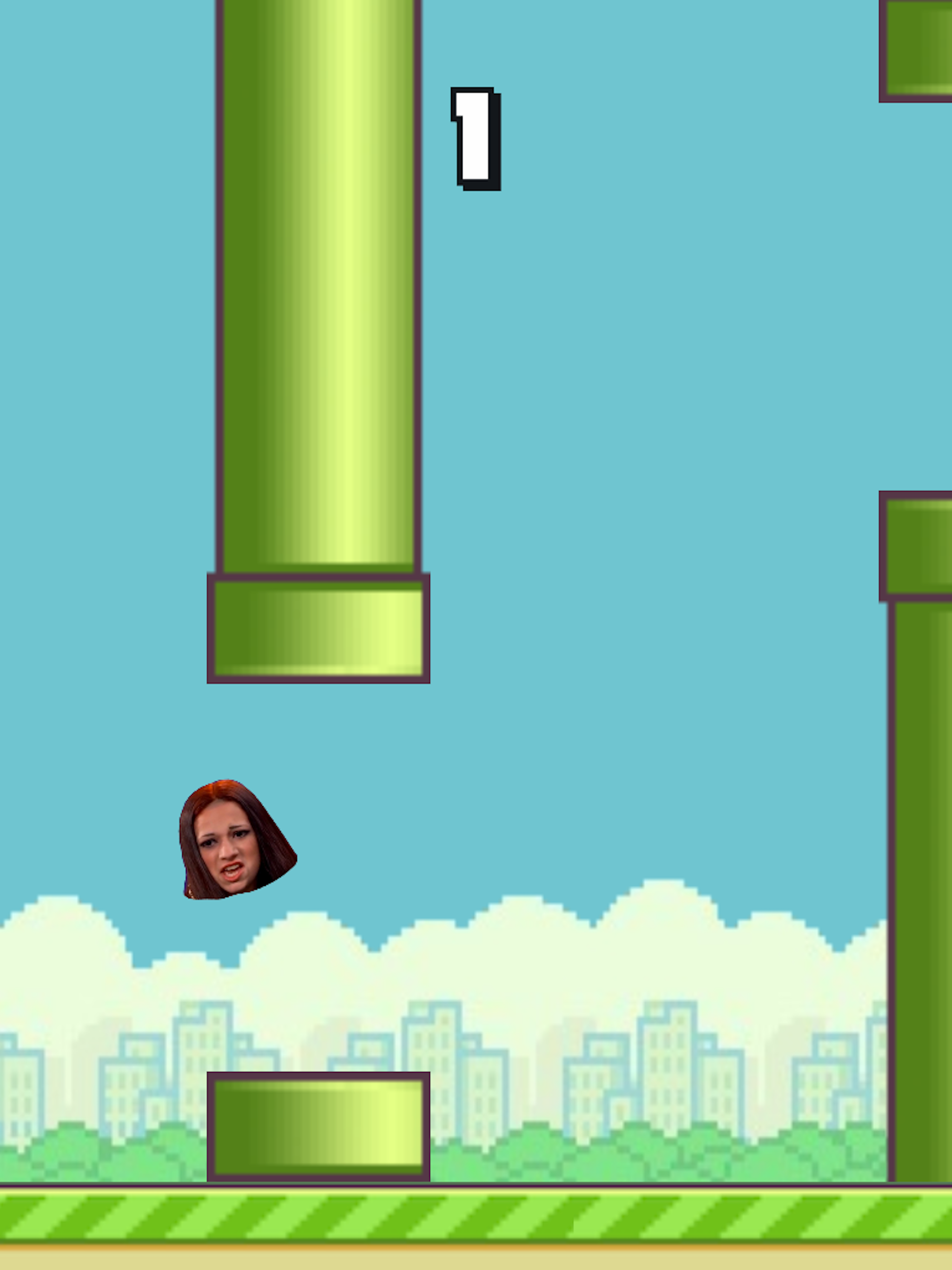 Flappy Meme 2