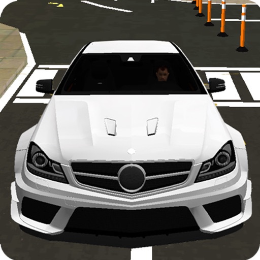 C63 & C180 Driving Simulator 2017 Pro Icon