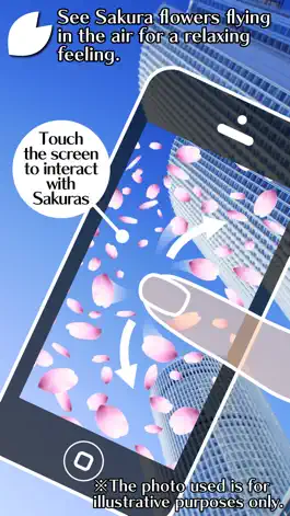 Game screenshot SAKURA Now! - AR Sakura Camera hack