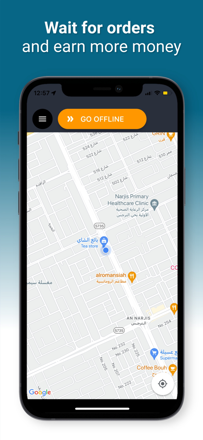 Blink Driver بلينك درايفر