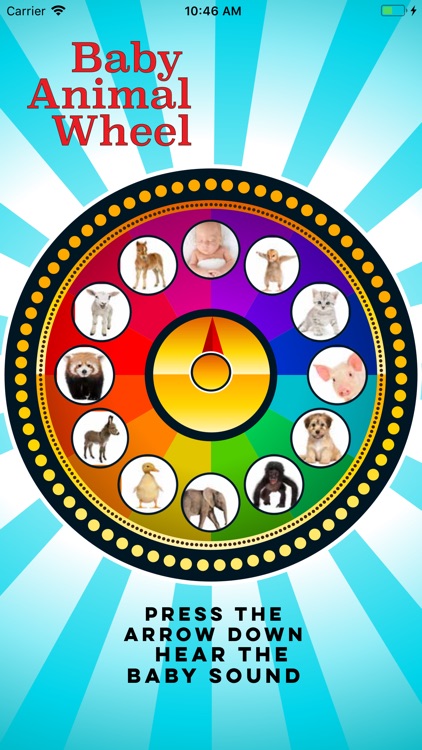 Baby Animal Wheel