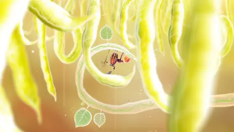 Botanicula