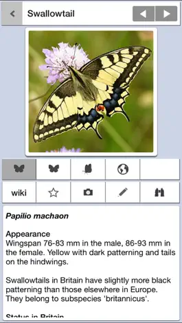 Game screenshot Butterfly Guide - Europe mod apk