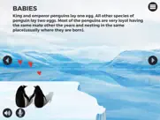 knowee : penguins айпад изображения 4