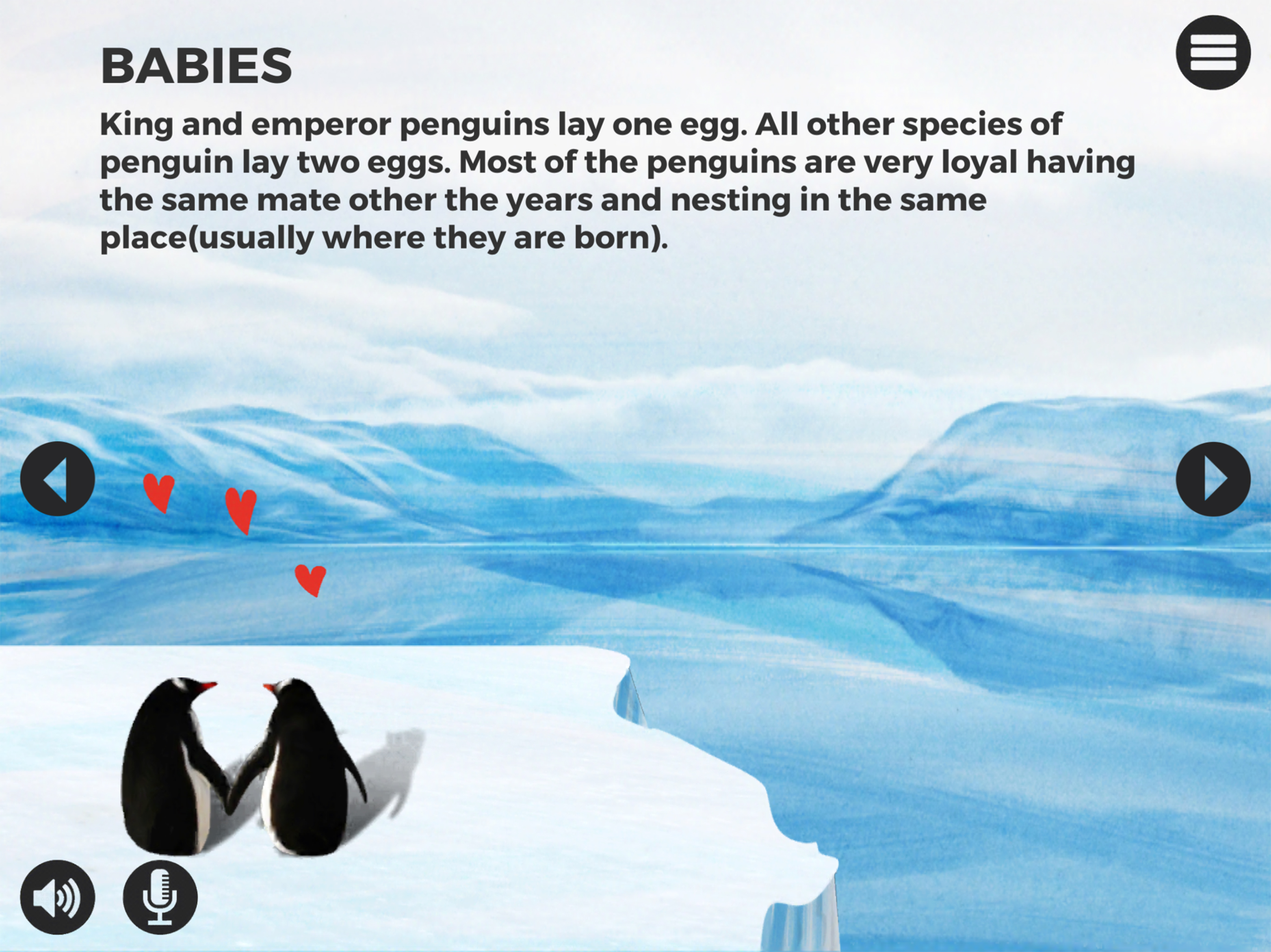 Knowee : Penguins